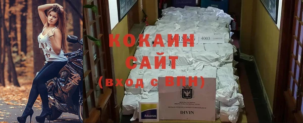 молекула духа Волосово