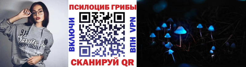 Галлюциногенные грибы Psilocybine cubensis  KRAKEN ТОР  Электрогорск 